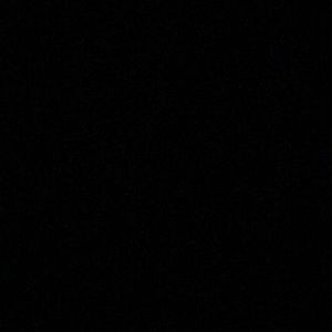 Meet your Posher, Quincy